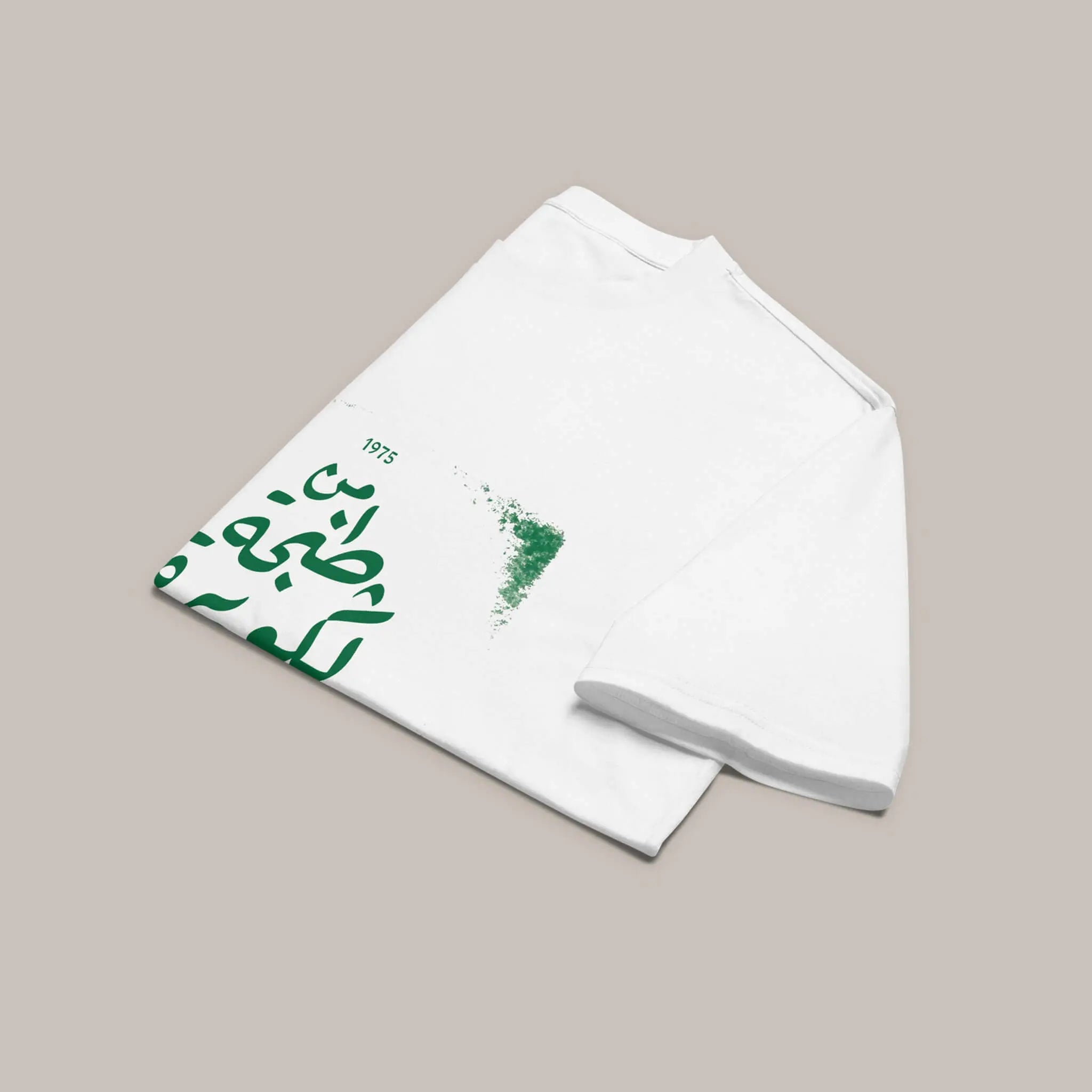 Al Massira Al Khadra - oversized heavyweight t-shirt 7anin